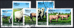Turkey 1964 Animal Protection Fund Fine Used. - Oblitérés