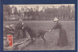 CPA Ane Donkey écrite - Donkeys