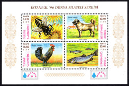 Turkey 1996 Istanbul '96 International Stamp Exhibition Souvenir Sheet Unmounted Mint. - Neufs