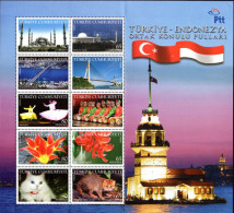 Turkey 2008 Turkey And Indonesia Sheetlet (folded) Unmounted Mint. - Nuevos