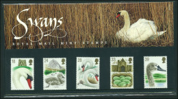 1993 600th Anniv Of Abbotsbury Swannery Presentation Pack. - Presentation Packs