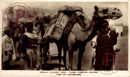 YEMEN. ADEN. MAALLA VILLAGE - ADEN - CAMEL CARAVAN LEAVING FOR THE HINTERLAND - Yémen