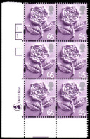 2001-02 65p Gravure Pictorial Cylinder Block Of 6 Unmounted Mint. - Angleterre