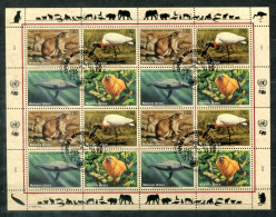 UNO-GENF 245-248 KB FD Canc. - Präriehund, Jabiru, Blauwal, Löwenäffchen, Whale, Baleine - UN GENEVA / ONU GENÈVE - Blocs-feuillets