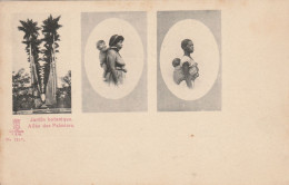 AFR3  --  UNKNOWN  --  AFRICA  --  JARDIN BOTANIQUE  --  ALLEE DES PALMIERS  --  SCHUTZ - MARKE E. R. W.  No 1217 - Non Classés