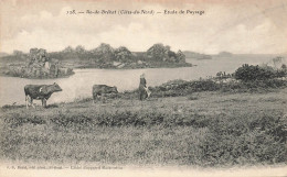 Ile De Bréhat * étude Du Paysage * Femme Coiffe Troupeau Vaches - Ile De Bréhat