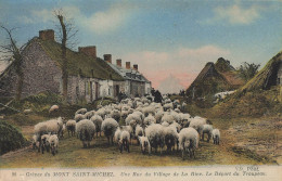 Le Mont St Michel * La Grève * Une Rue Du Village De La Rive , Départ Du Troupeau De Moutons - Le Mont Saint Michel