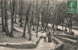 La Montagne La Route Sous Bois - La Montagne