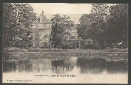 Carte P De 1907 ( Château De Coppet Et La Pièce D'eau ) - Coppet