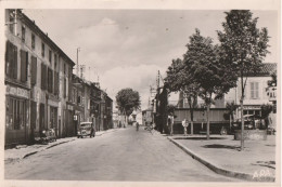 ALBAN   Avenue D'Albi - Alban