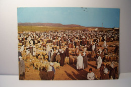 DJELFA   - Agérie - Le Marché Des Moutons - Djelfa