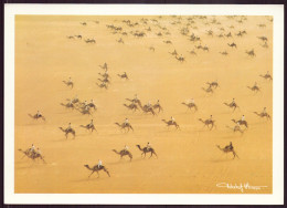 ARABIE SAOUDITE TRADITIONAL CAMEL RACE 17 X 12 CM - Arabie Saoudite