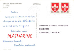 CP. PLASMARINE. AJACCIO - Pharmacy