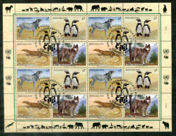 UNO-WIEN 143-146 KB FD Canc - Zebra, Pinguin, Waran, Wolf, Penguin, Zèbre, Manchot, Loup, Varan - UN VIENNA / ONU VIENNE - Blocs-feuillets