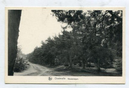 AK 140290 BELGIUM - Oostmalle - Wandelwegen - Malle