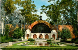 California San Diego Balboa Park Botanical Gardens And Lily Pond 1958 - San Diego