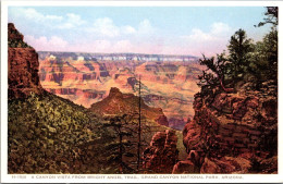 Arizona Grand Canyon National Park Canyon Vista From Bright Angel Trail Fred Harvey Detroit Publishing - Autres & Non Classés