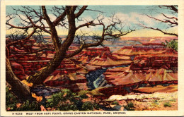 Arizona Grand Canyon National Park West From Hopi Point 1952 Fred Harvey - Gran Cañon