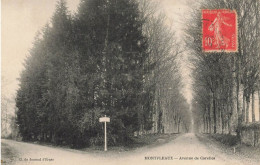 Montfleaux * Avenue De Carelles * Route Chemin - Andere & Zonder Classificatie