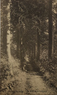 Gent - Gand  // College Ste. Barbe (Allee De La Campagne) 1909 - Gent