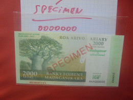+++SPECIMEN+++MADAGASCAR 2000 ARIARY (2007) Neuf (B.29) - Madagaskar