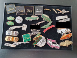 Jaguar Anstecknadeln Und Pins Sammlung - Lots