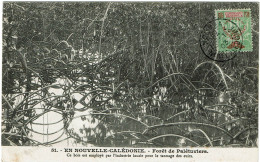 CTN85C- N.LLE CALEDONIE GROUPE 5c VERT JAUNE S/PAILLE 50° ANN. PRESENCE FR.SE SUR CPA OBL. PHILATELIQUE - Brieven En Documenten