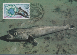 TAAF N° 307 POISSON SUR CARTE MAXIMUM - FDC