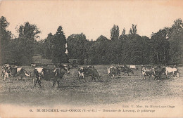 91 Saint Michel Sur Orge Domaine De Lormoy Le Paturage Vache Vaches CPA - Saint Michel Sur Orge