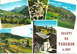 Torgnon (Aosta) Panorami Estivi Di: Torgnon, Fraz. Champagnod, Fraz. Septumian, Fraz. Verney - Aosta