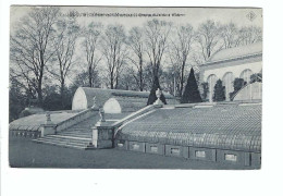 Marimont  SBP  25 Château De Marimont  Serres Et Jardin D'Hiver 1907 - Morlanwelz