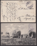 Kiautschou Tsingtau 6.7. 1914 Ansichtskarte Kaiserdenkmäler Bei Peking Elefant (ohne Marke) - Ehemalige Dt. Kolonien