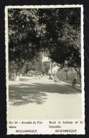 MOÇAMBIQUE MOZAMBIQUE (Africa) - Road To Fortiens Of St. Sebastião RARE PHOTO-POSTCARD - Mozambique