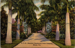 Florida Miami Beautiful Residential Palm Pathway Curteich - Miami