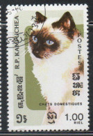 CAMBODIA KAMPUCHEA CAMBOGIA 1985 DOMESTIC CATS 1r USED USATO OBLITERE' - Kampuchea