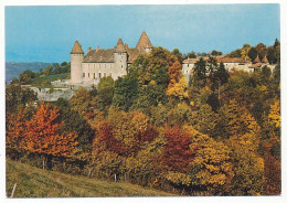 CPSM / CPM 10.5 X 15  Isère Château De VIRIEU XI-XVIIe Siècles - Virieu