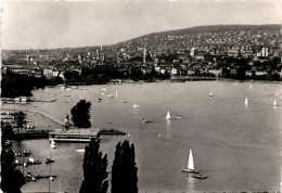 Zürichsee - Seerestaurant, Hafen Enge Und Stadt Zürich (8589) - Enge