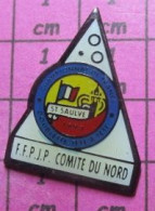 716A Pin's Pins / Beau Et Rare / SPORTS / PETANQUE COMITE DU NORD FFPJP ST SAULVE - Bowls - Pétanque