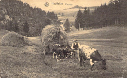 Belgique - Houffalize - Paysage - Attelage De Boeuf - Nels - Carte Postale Ancienne - Bastenaken