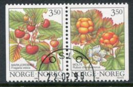 NORWAY 1996 Forest Berries Used.   Michel 1204-05 - Used Stamps