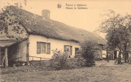 Belgique -  Ferme à Gelieren - Nels - Maison Stulens - Carte Postale Ancienne - Genk