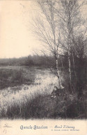 Belgique - Genck Staelen - Bord D'étang  E. Desaix   - Carte Postale Ancienne - Genk