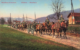 Armée Suisse Militaria Schweizer Armee Militär Infanterie Mitrailleurs Attelage Chevaux - Other & Unclassified