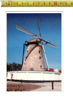 66700 - WERVIK BRIEKENMOLEN - MOULIN - MOLEN - Wervik