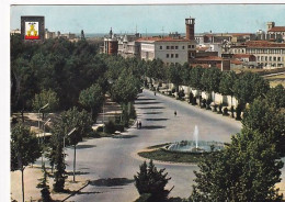 ALBACETE                        AVENIDA    RODRIGUEZ ACOSTA - Albacete