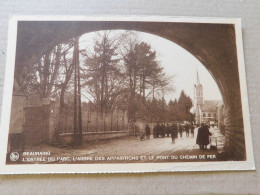 Beauraing, L'entrée Du Parc, L'arbre Des Apparitions Et Le Pont Du Chemin De Fer   (A19) - Beauraing