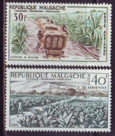 MADAGASCAR - FOOD  AGRO  TABACO - **MNH - 1985 - Agriculture