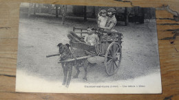 OUZOUER SUR LOIRE : Une Voiture A Chien  ............  2406-8 - Ouzouer Sur Loire