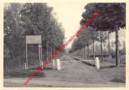 Kinderpreventorium Hickendorf - De Kastanjedreef - Westmalle - Malle