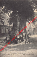 De Lindeboom - 1910 - Zoersel - Zoersel